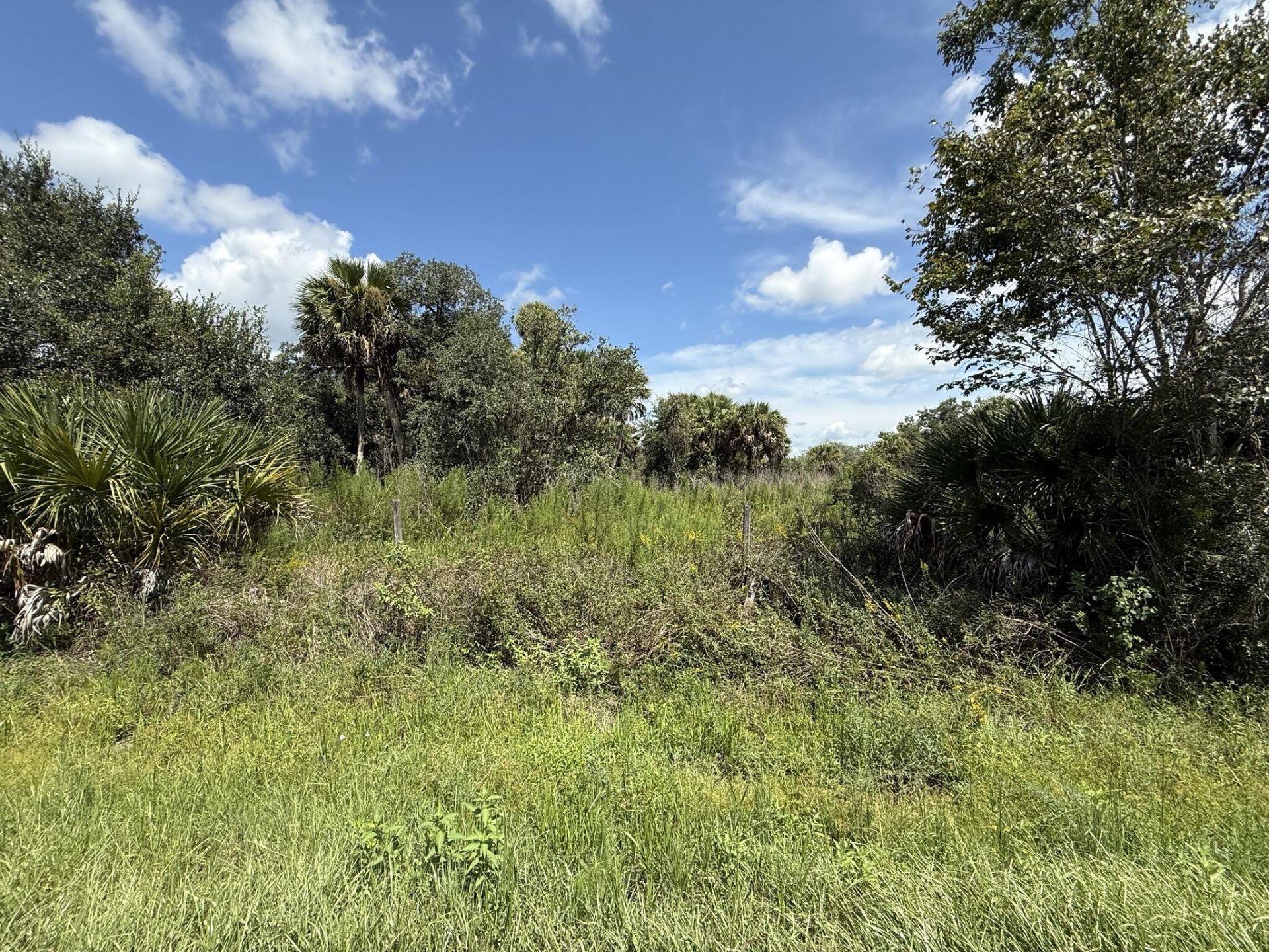 19145 NW 302nd, Okeechobee, FL 34972 Main Photo