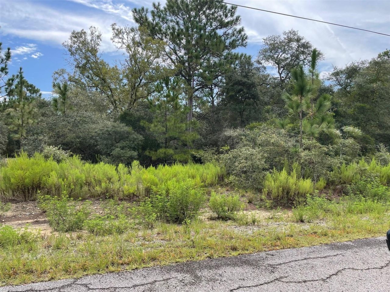 Lot 27 SW Gardenia Court, Dunnellon, FL 34431 Main Photo