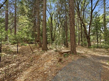 13195 Woodstock Dr, Nevada City, CA 95959 Photo