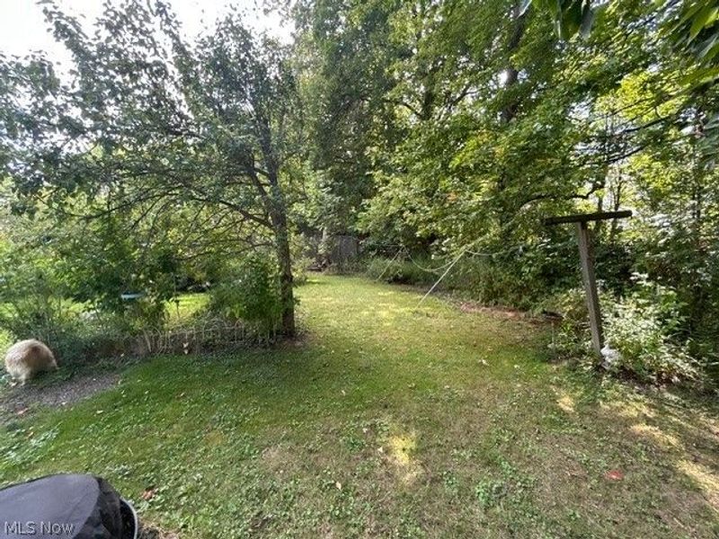 441 Adams Street, Jefferson, OH 44047 Photo 22