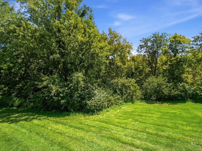 7795 Mitchell Park Drive, Miami Township, OH 45002 Photo 42