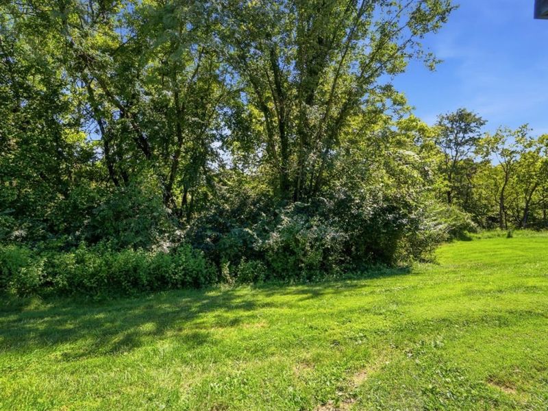 7795 Mitchell Park Drive, Miami Township, OH 45002 Photo 78