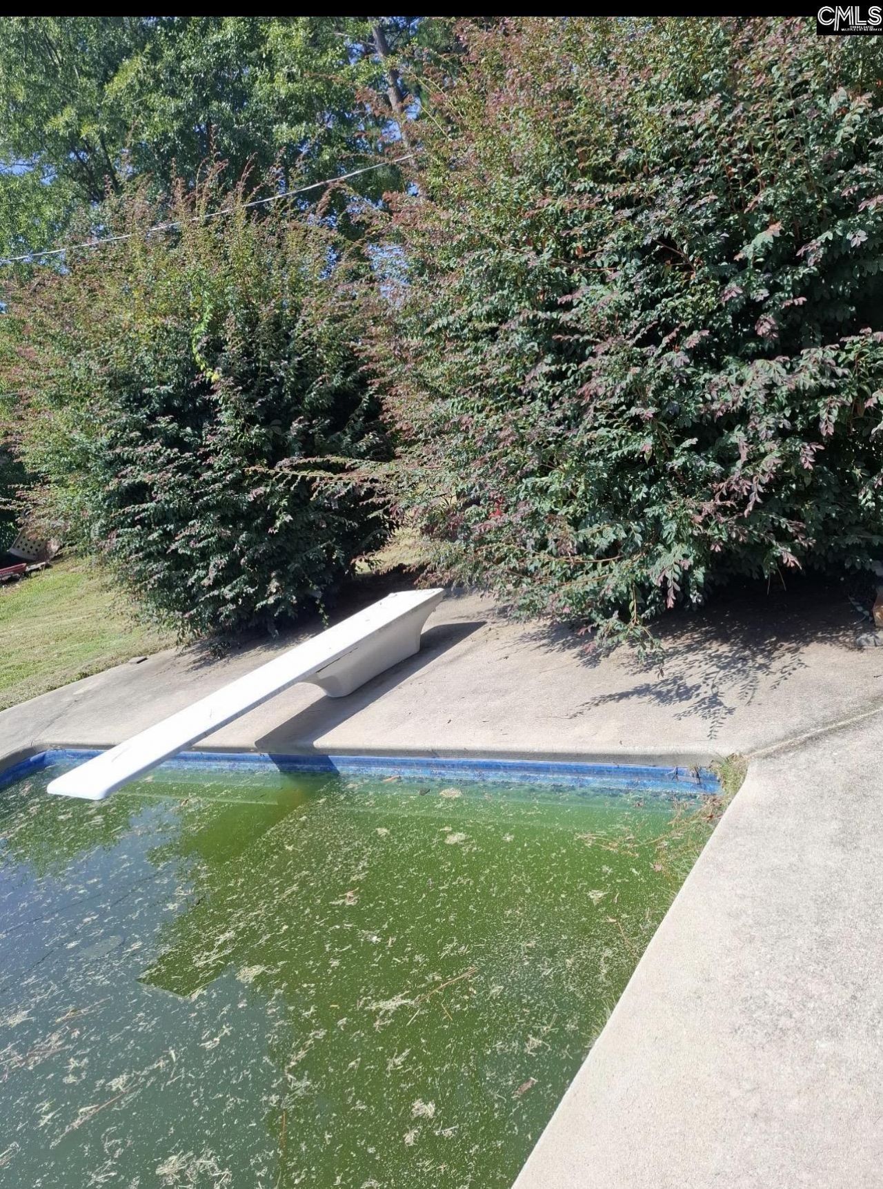 130 Wilkshire Drive Photo 28