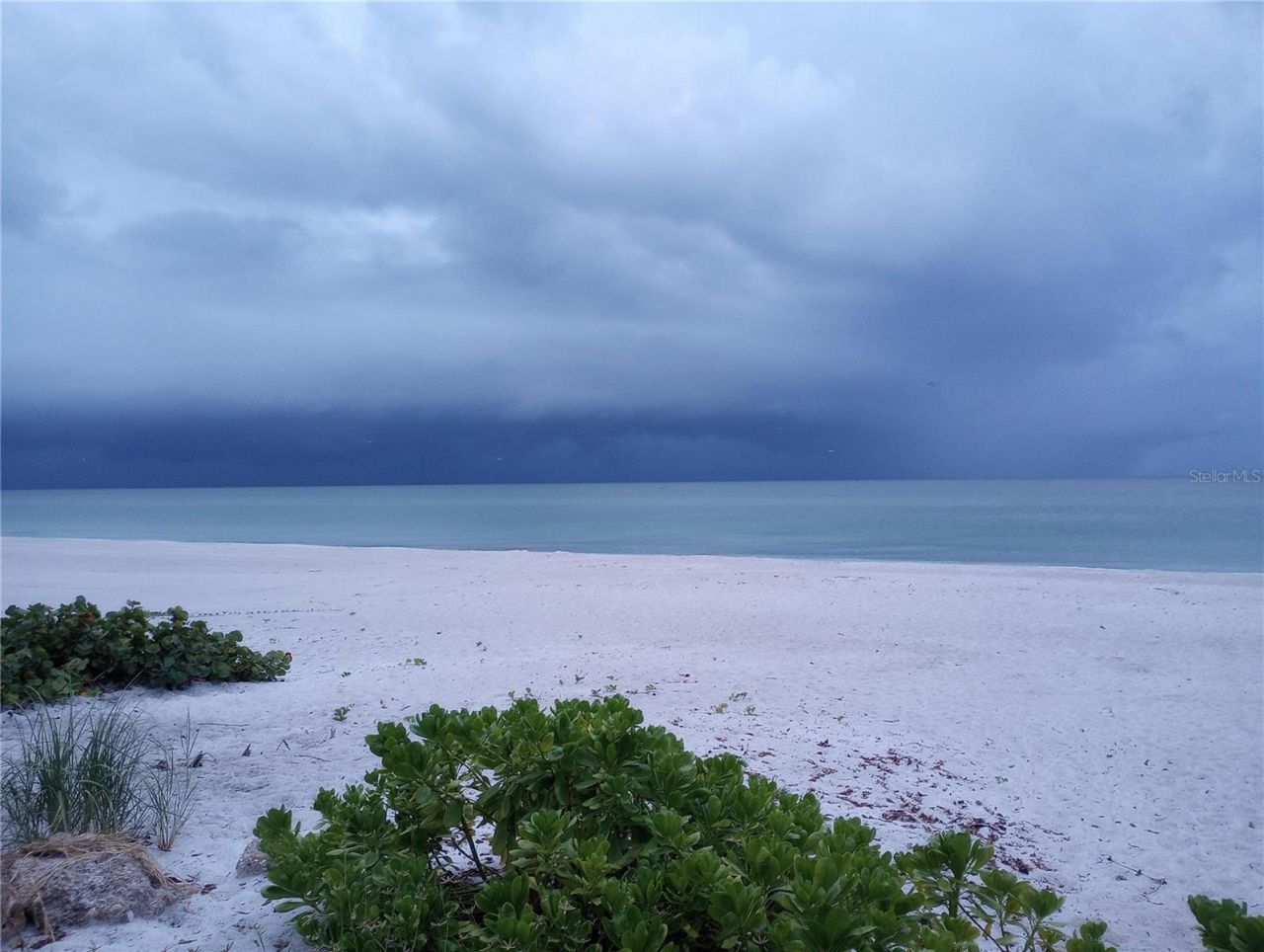 1520 Glen Oaks Drive E, Unit 248, Sarasota, FL 34232 Photo