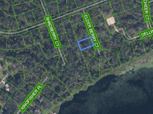 9425 ELDER BERRY COURT , SEBRING, FL 33875