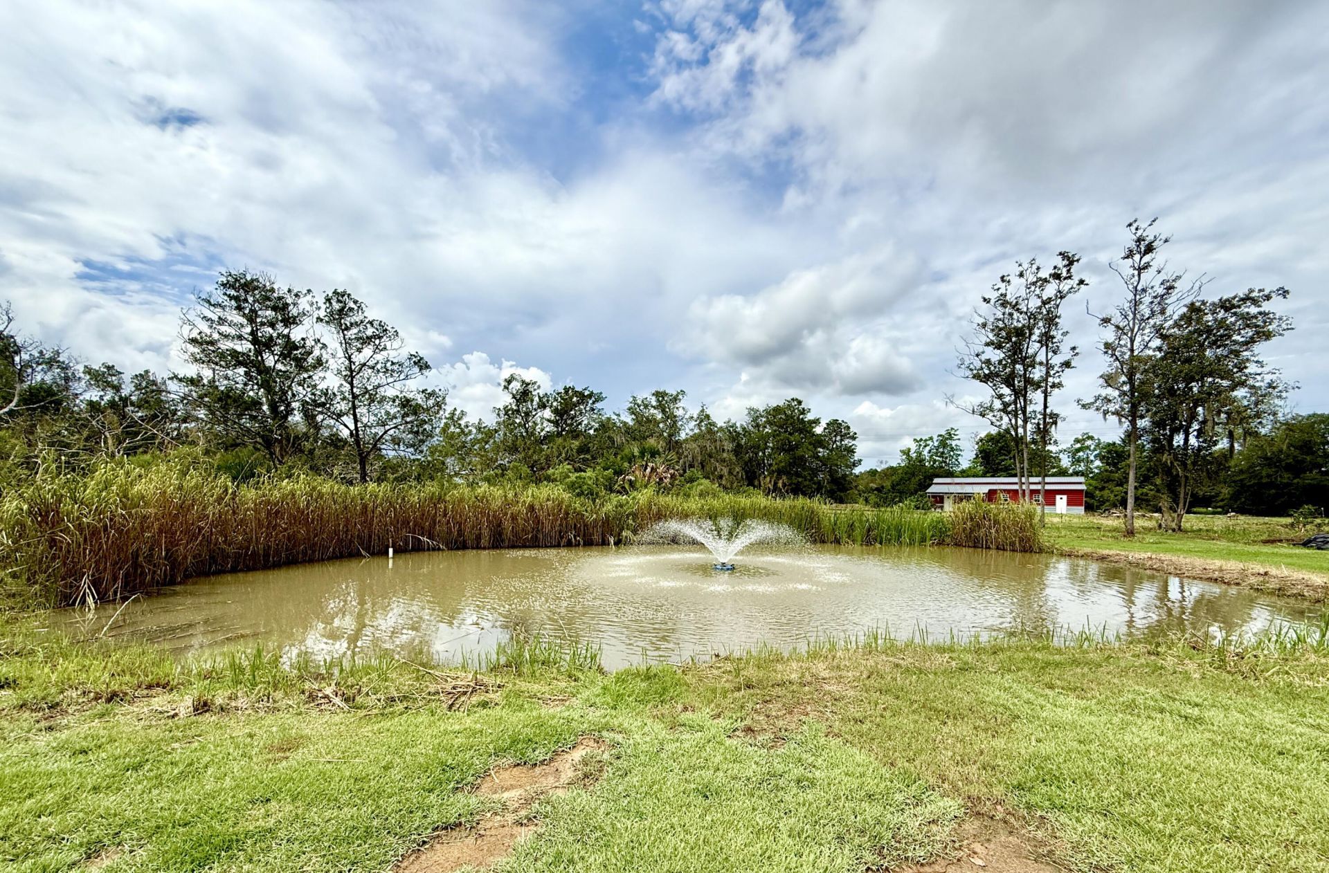 8176 Rosa Scott Road Photo 64
