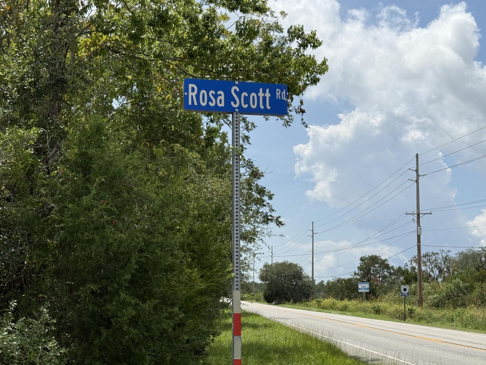 8176 Rosa Scott Road Photo 68