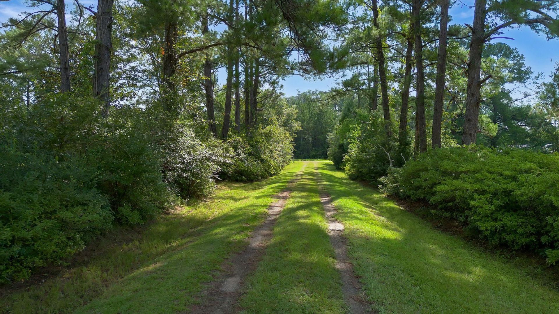 161 Lonnie Clark Road, Quincy, FL 32351 Photo