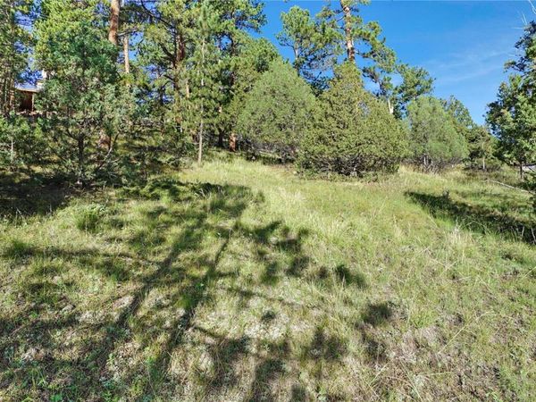 Bob Cat Trail , Bailey, CO 80421