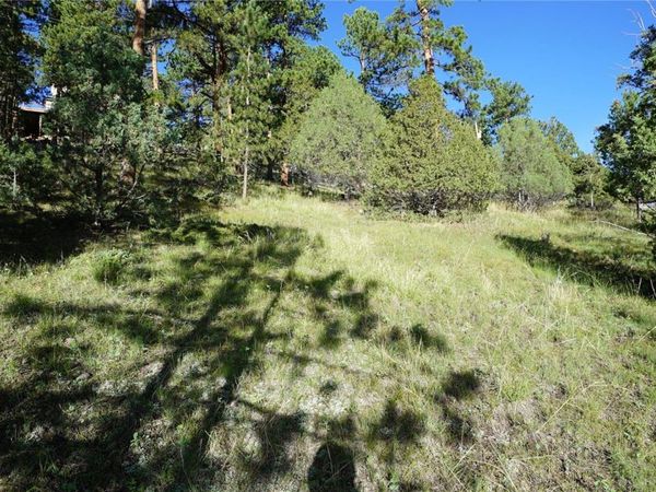 Bob Cat Trail , Bailey, CO 80421