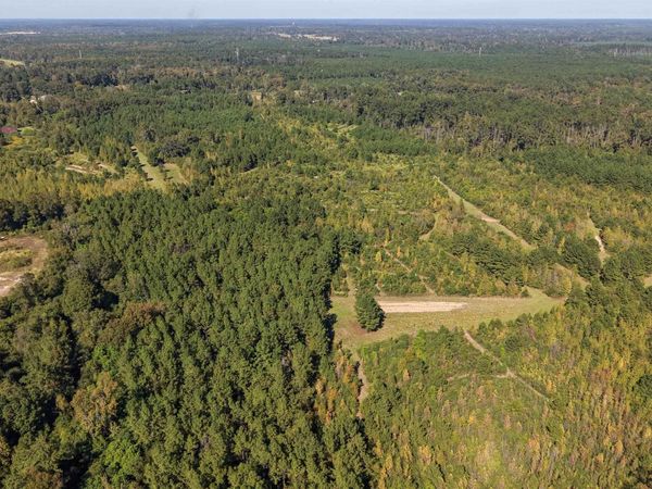14181 E Russel Town Rd, Roseland, LA 70456