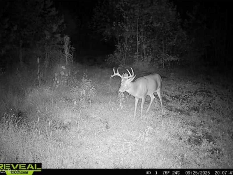 County Road 181, Ironton, OH 45638 Photo 10