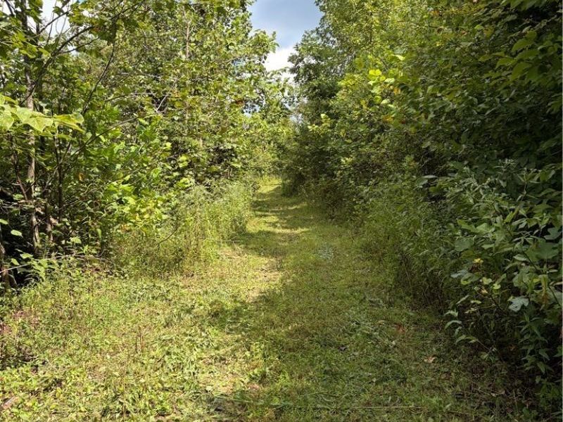 County Road 181, Ironton, OH 45638 Photo 14