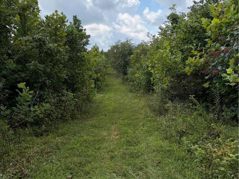 County Road 181, Ironton, OH 45638 Photo 16