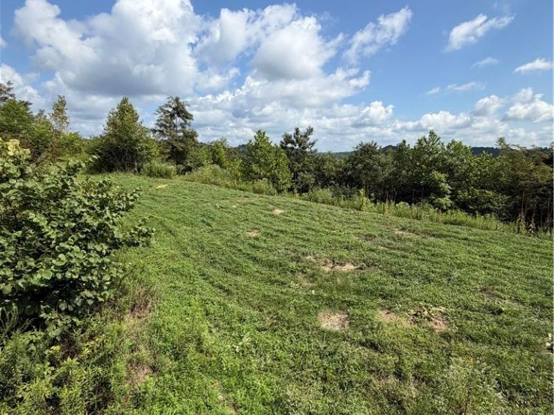 County Road 181, Ironton, OH 45638 Photo 19