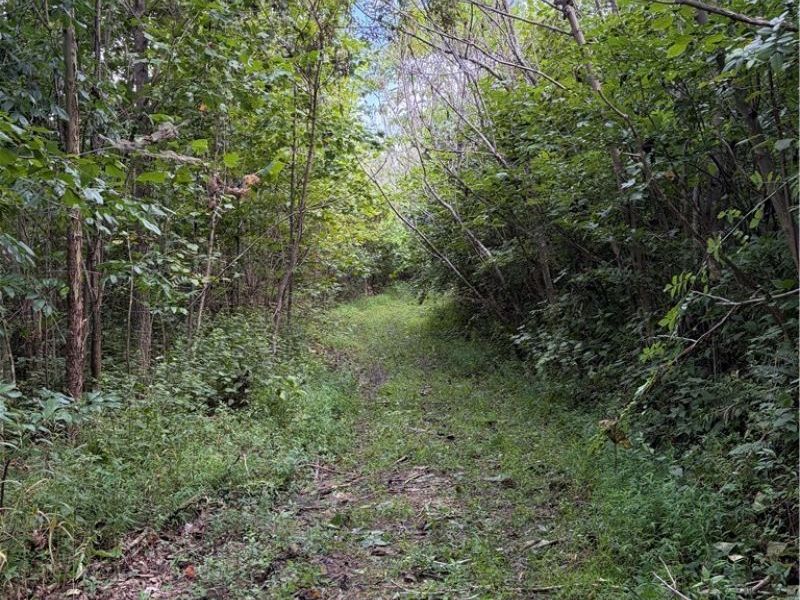 County Road 181, Ironton, OH 45638 Photo 27