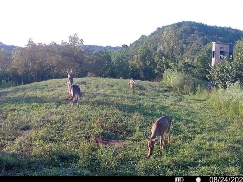 County Road 181, Ironton, OH 45638 Photo 33