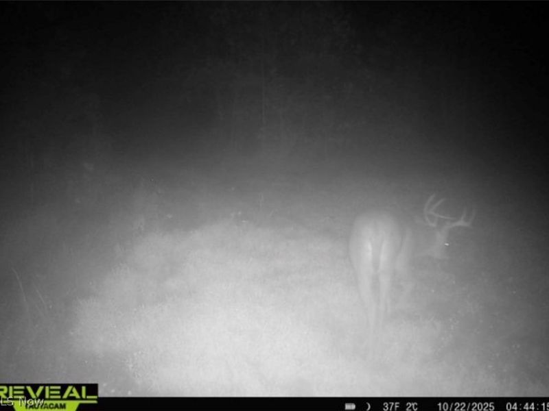 County Road 181, Ironton, OH 45638 Photo 34