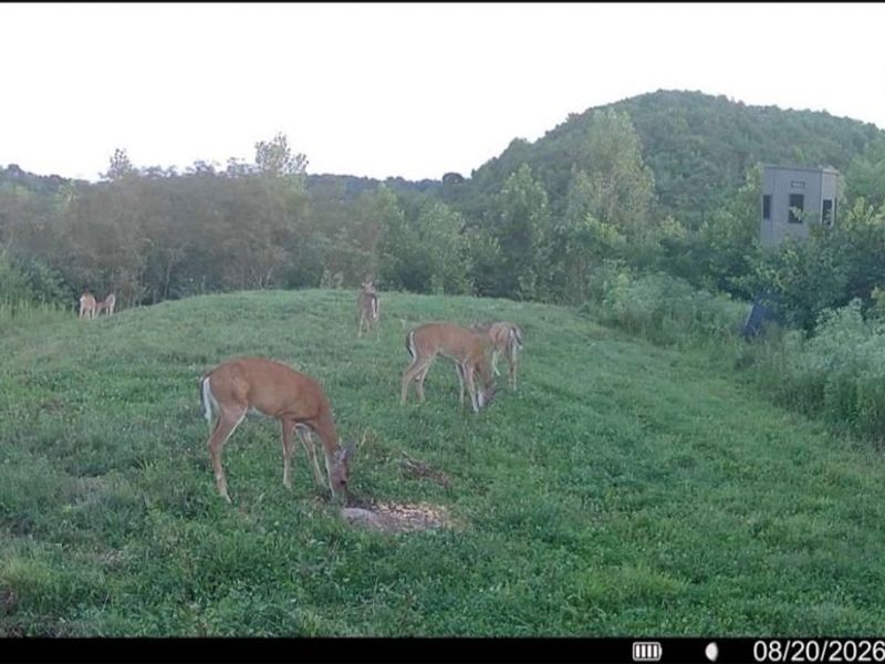 County Road 181, Ironton, OH 45638 Photo 6