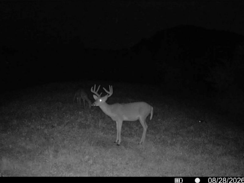 County Road 181, Ironton, OH 45638 Photo 7