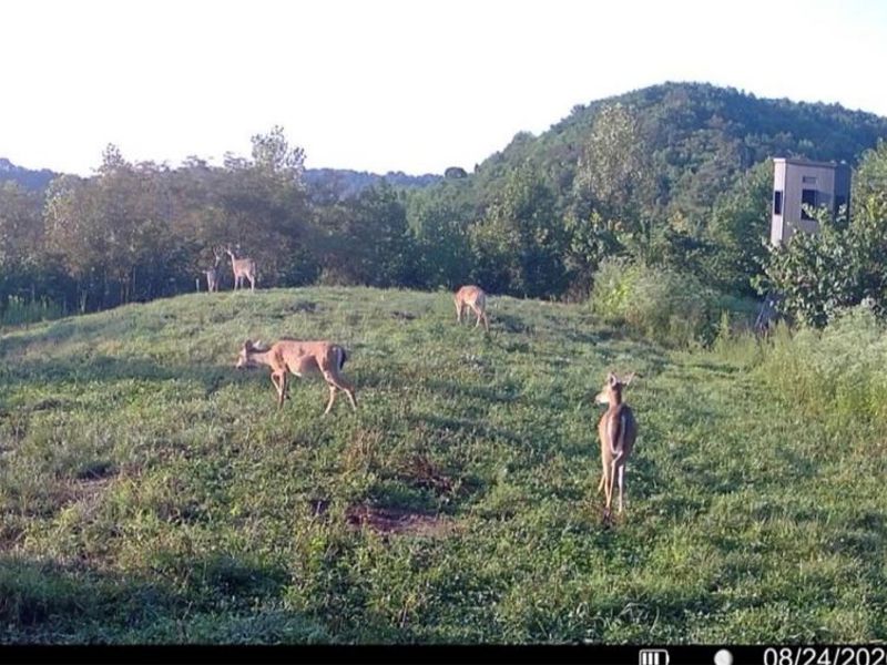 County Road 181, Ironton, OH 45638 Photo 8