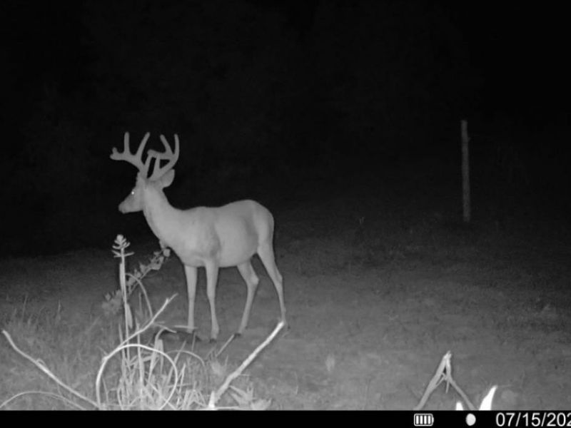 County Road 181, Ironton, OH 45638 Photo 9