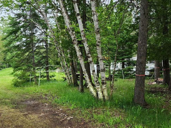 26928 Point Aux Frenes RD, Goetzville, MI 49736