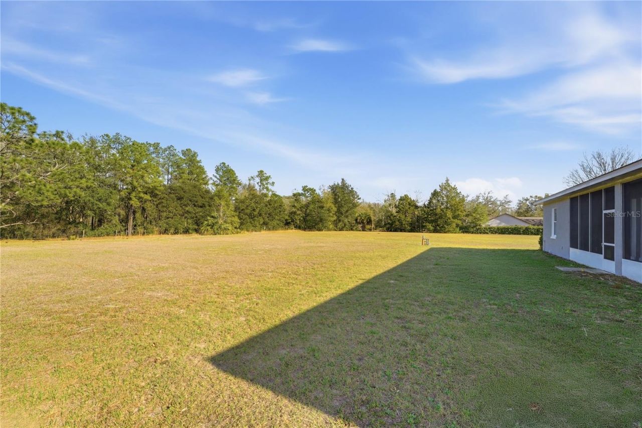 4873 NE 64 Avenue, Silver Springs, FL 34488 Photo
