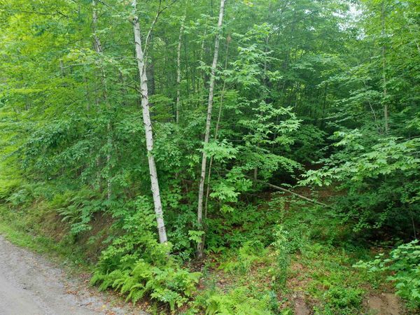 0 Guide Board Hill Road, Webster, NH 03303