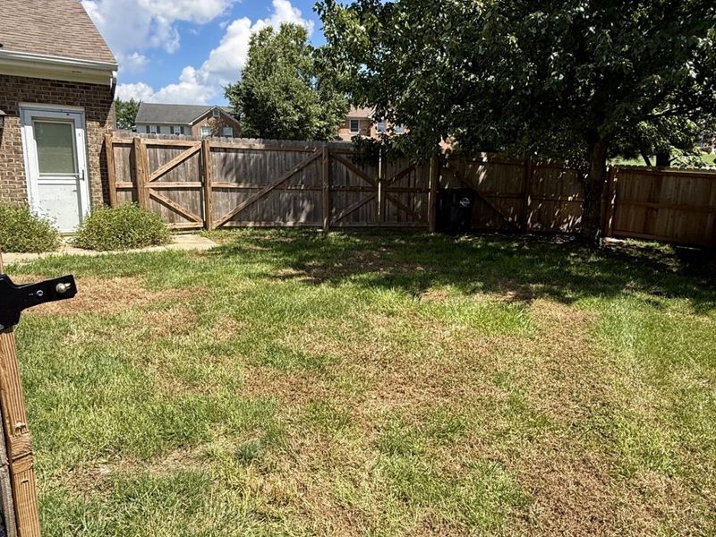 2607 Teaberry Court, Burlington, KY 41005 Photo 6