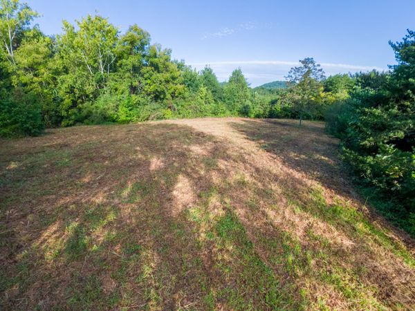 408 Shadden Rd , Tellico Plains, TN 37385
