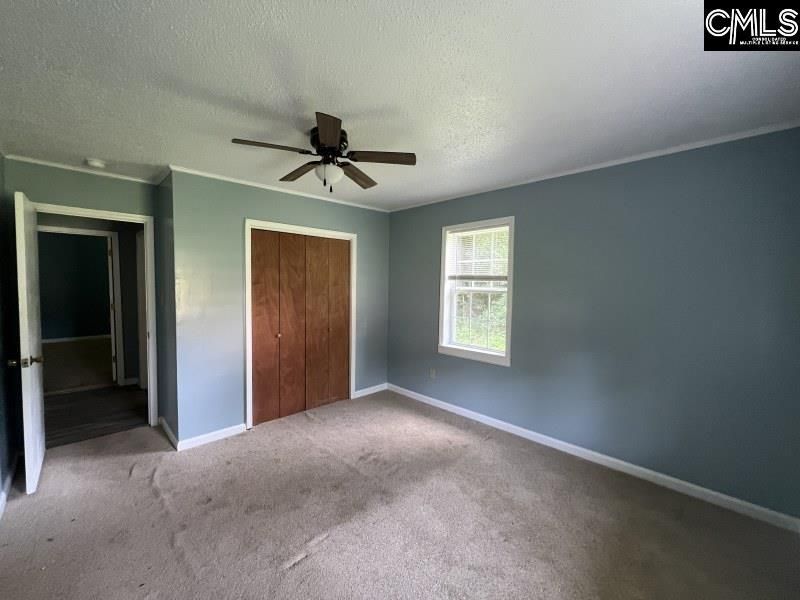 295 Cypress Avenue Photo 12