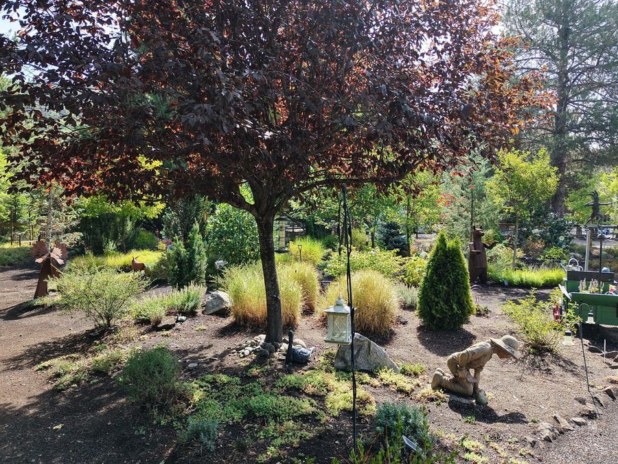Property Image 75
