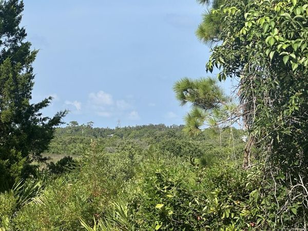 East Point Rd, Cedar Key, FL 32625