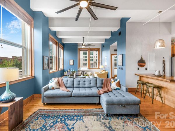 59 College Street, Unit 201, Asheville, NC 28801