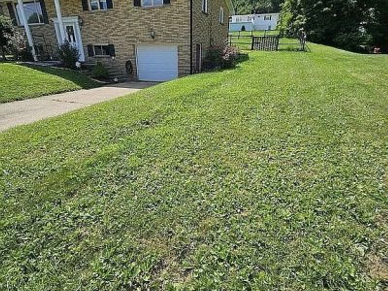 608 E Fernwood Drive, Toronto, OH 43964 Photo 11