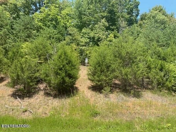 492 Citron Lane , Unit 492, New Tazewell, TN 37825
