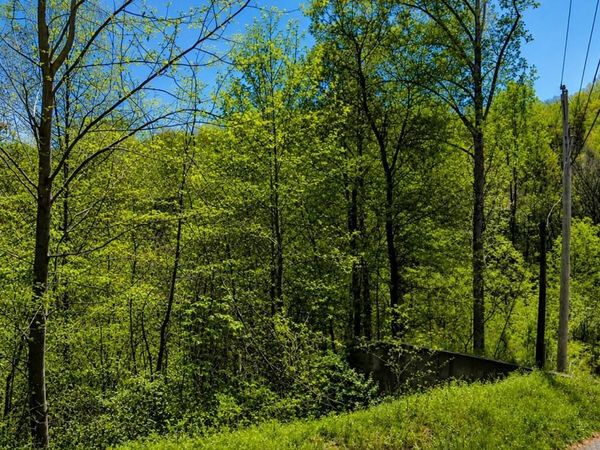 1811 Beach Front Drive , Unit /1915, Sevierville, TN 37876