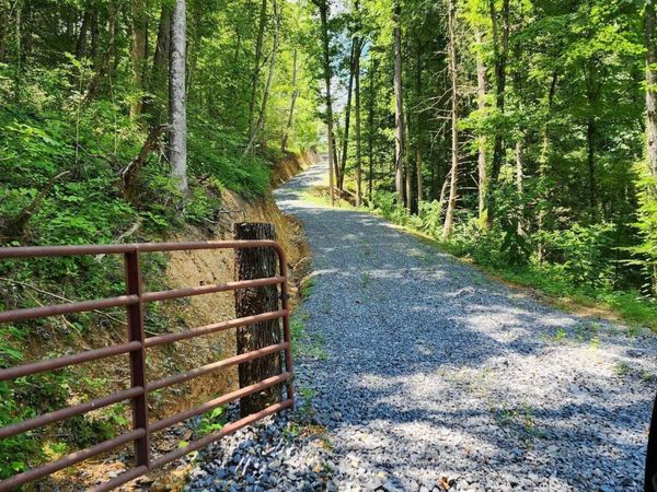 0 Tiger Lilly Drive , Cosby, TN 37722