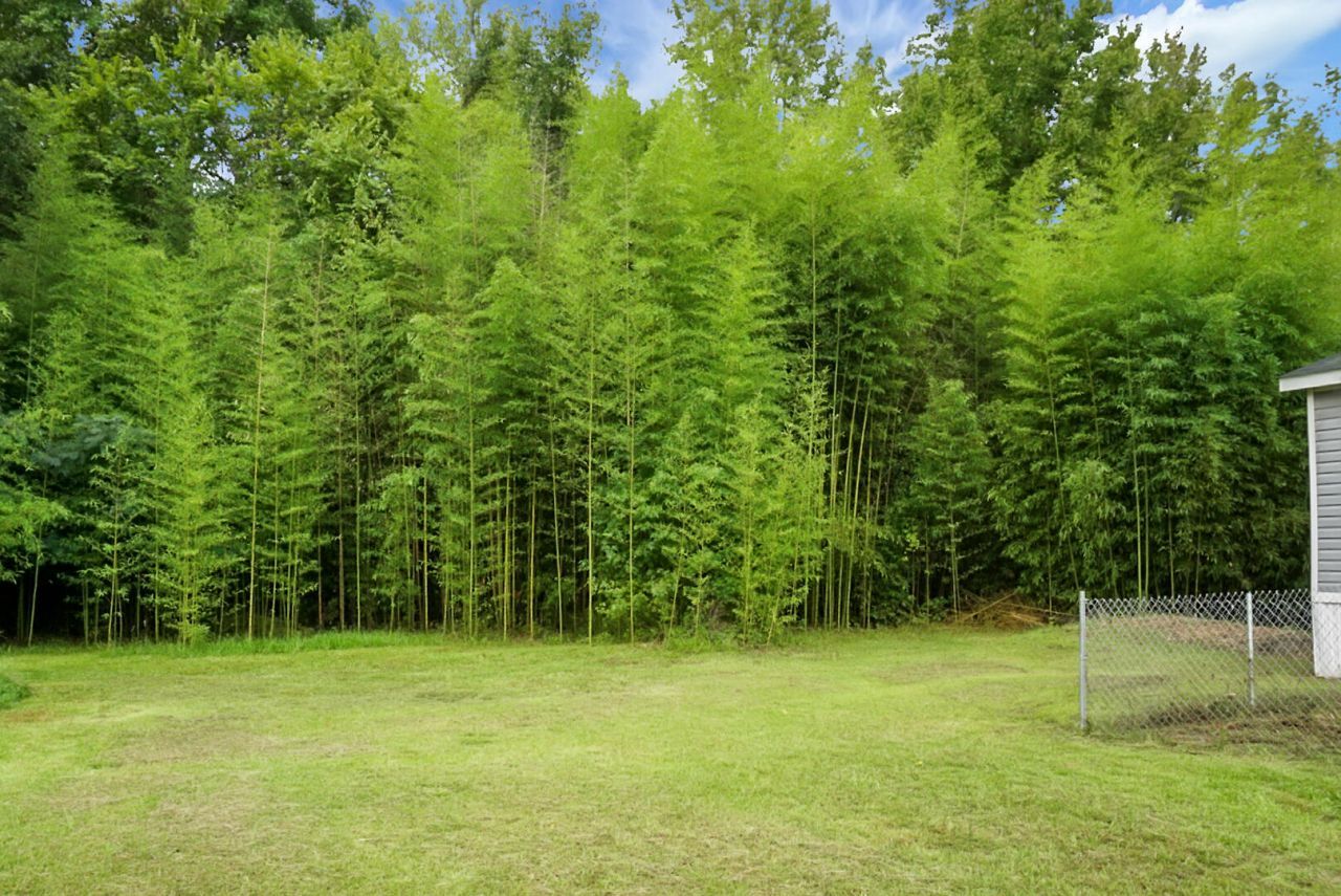 2849 Wire Road Photo 22