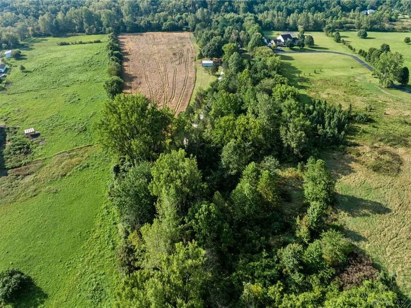 4615 S Dayton Brandt Road, Bethel Township, OH 45344 Photo 58