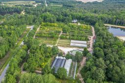 4594 Timrod Road  photo 4