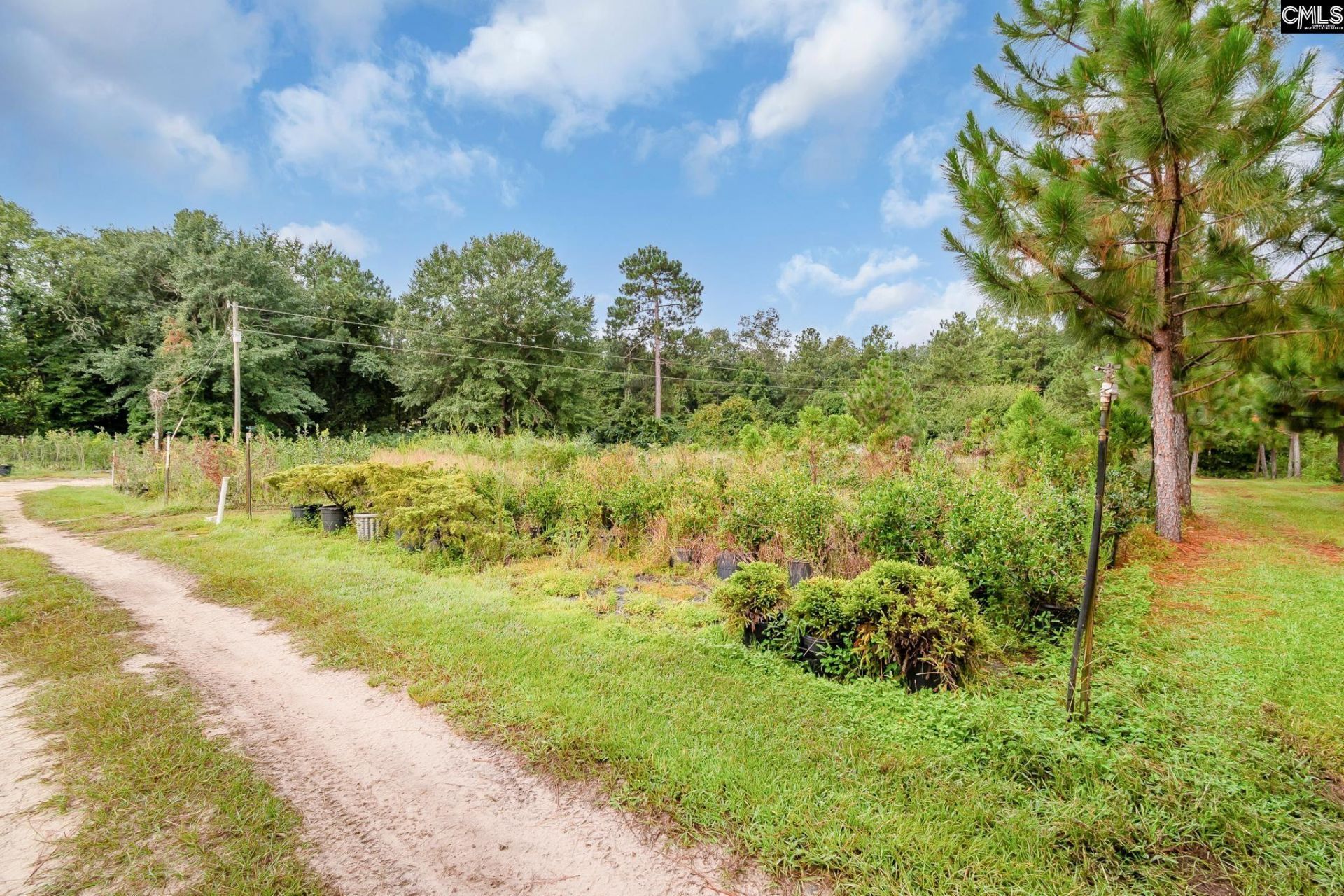 4594 Timrod Road  Photo 22