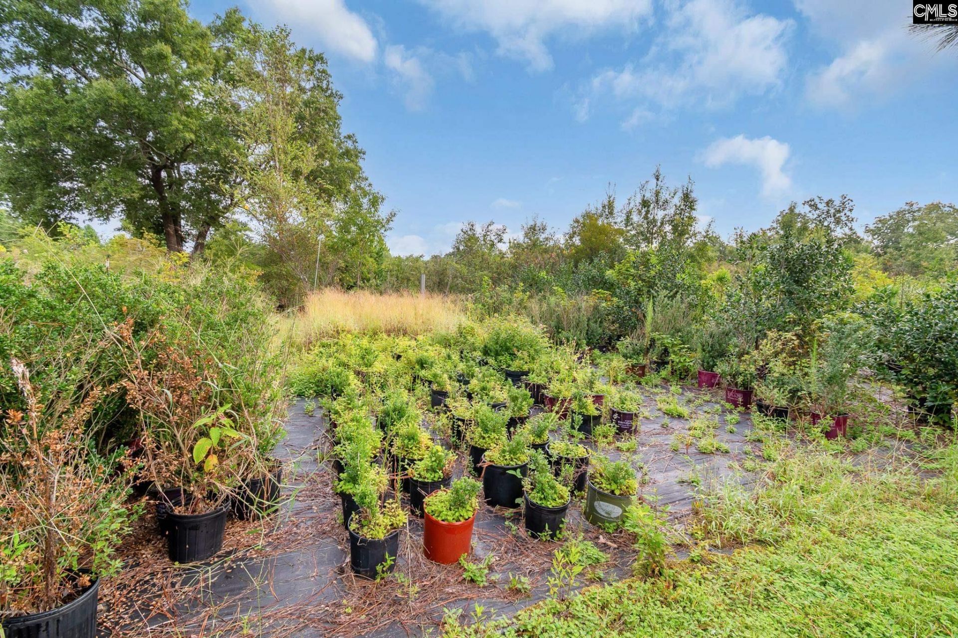 4594 Timrod Road  Photo 24