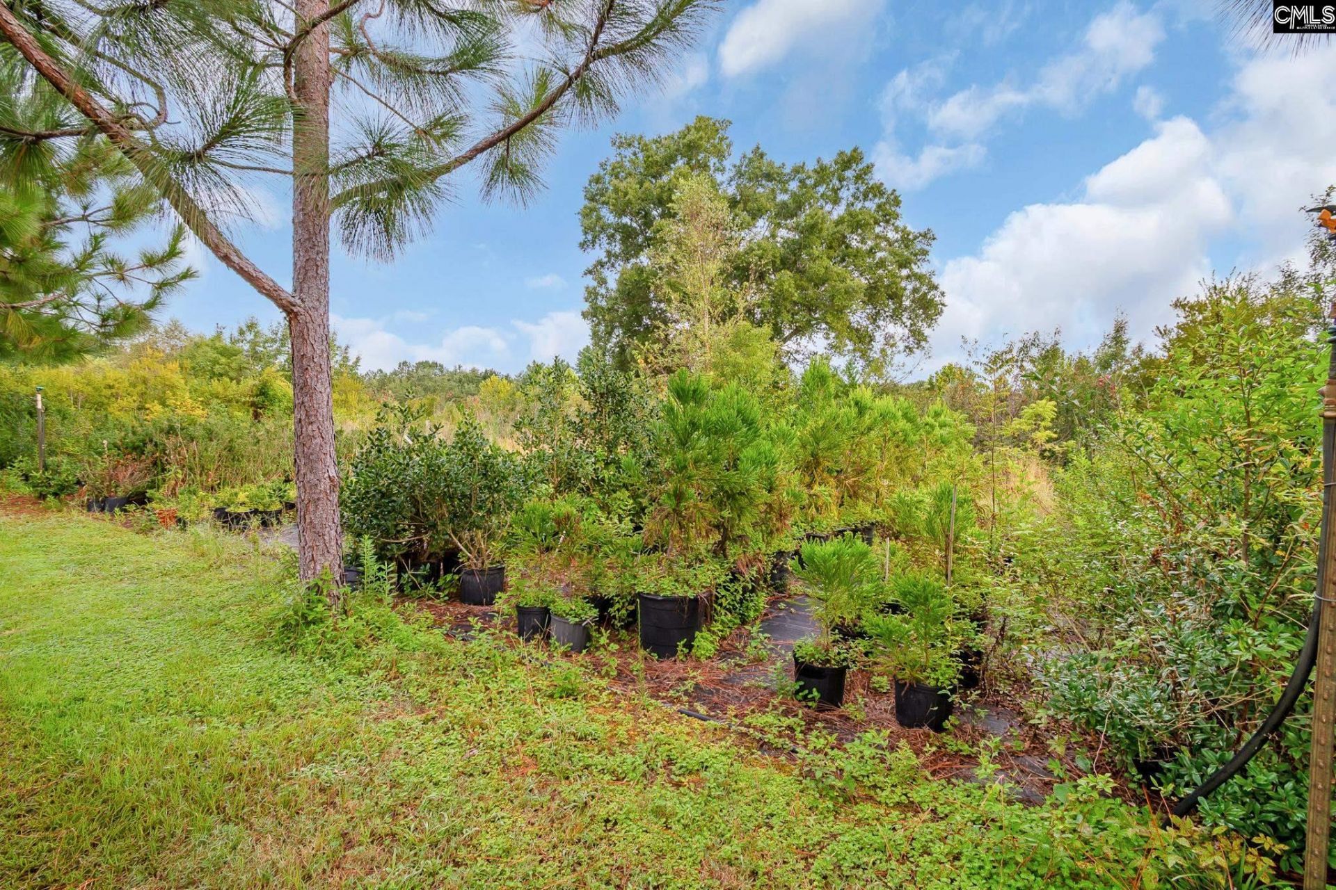 4594 Timrod Road  Photo 25