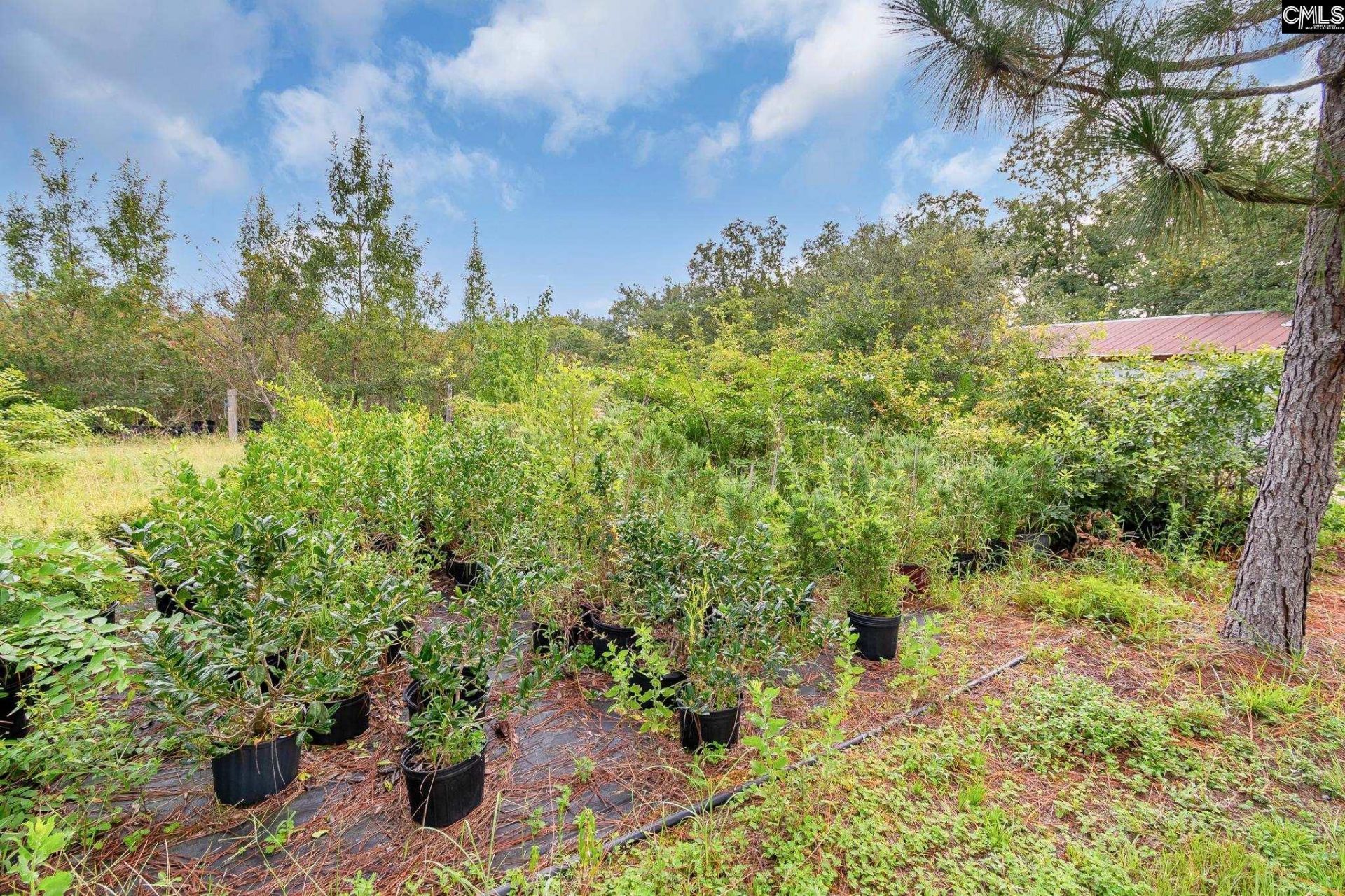 4594 Timrod Road  Photo 26