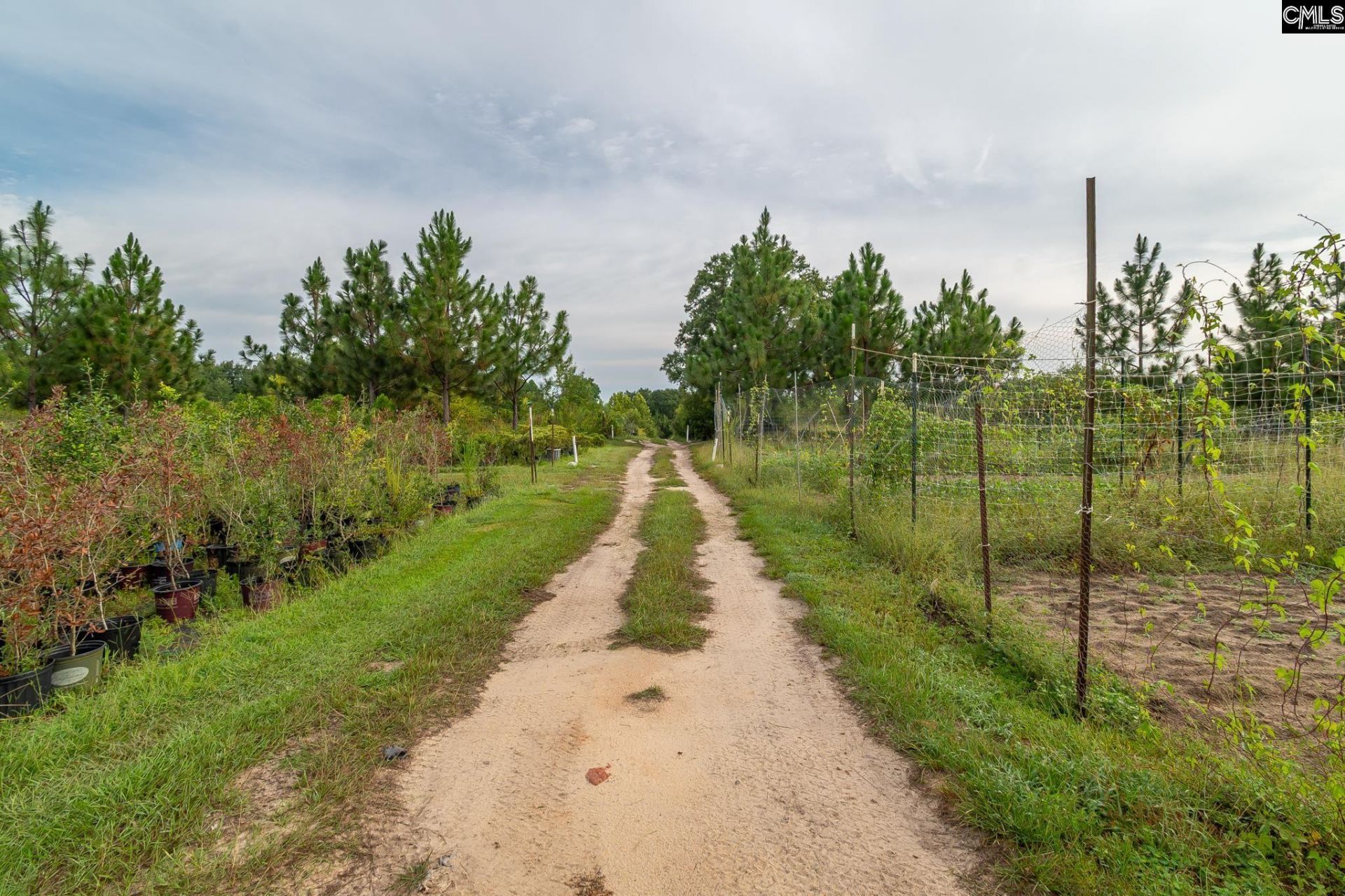 4594 Timrod Road  Photo 29