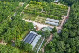 4594 Timrod Road  photo 4