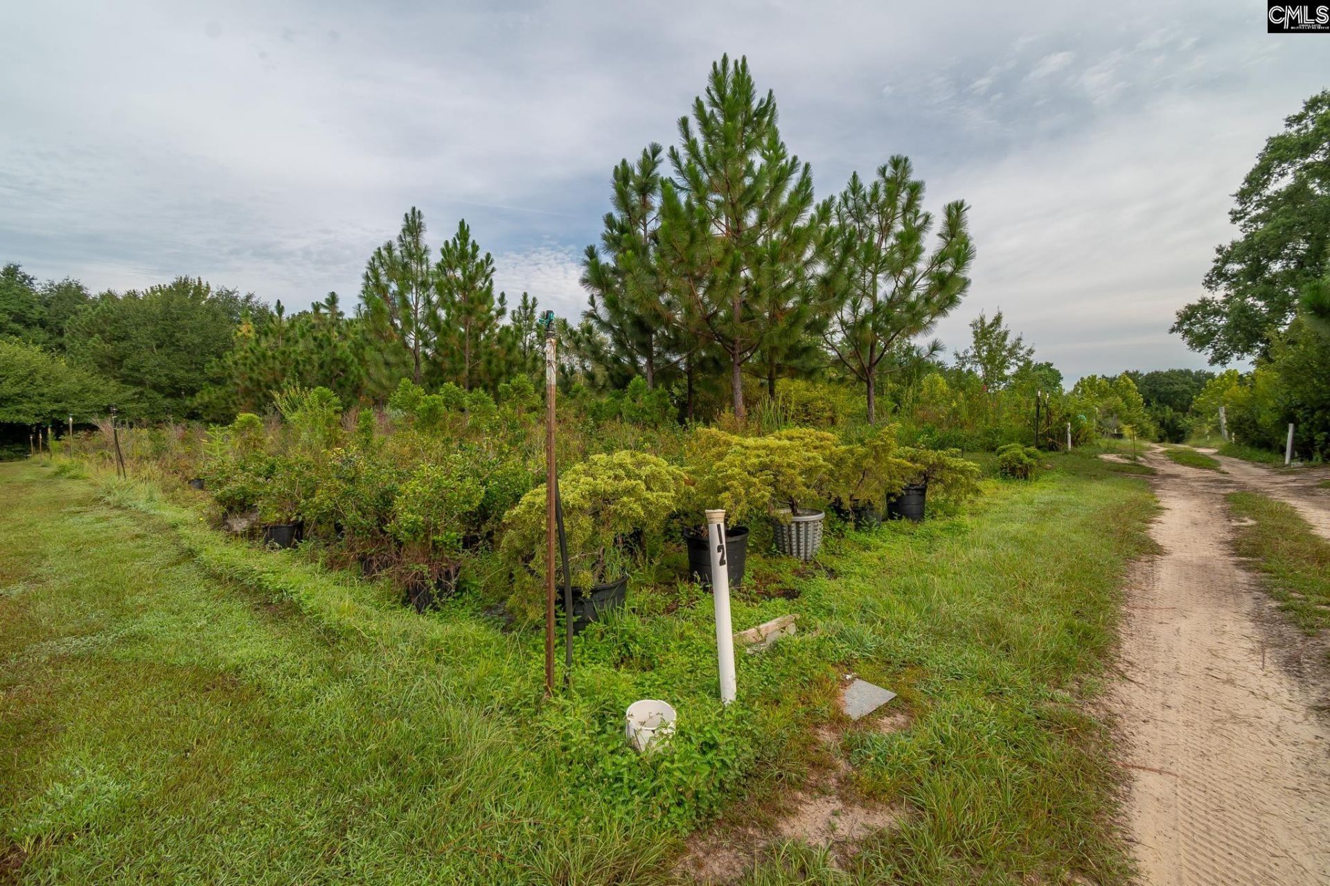4594 Timrod Road  Photo 30