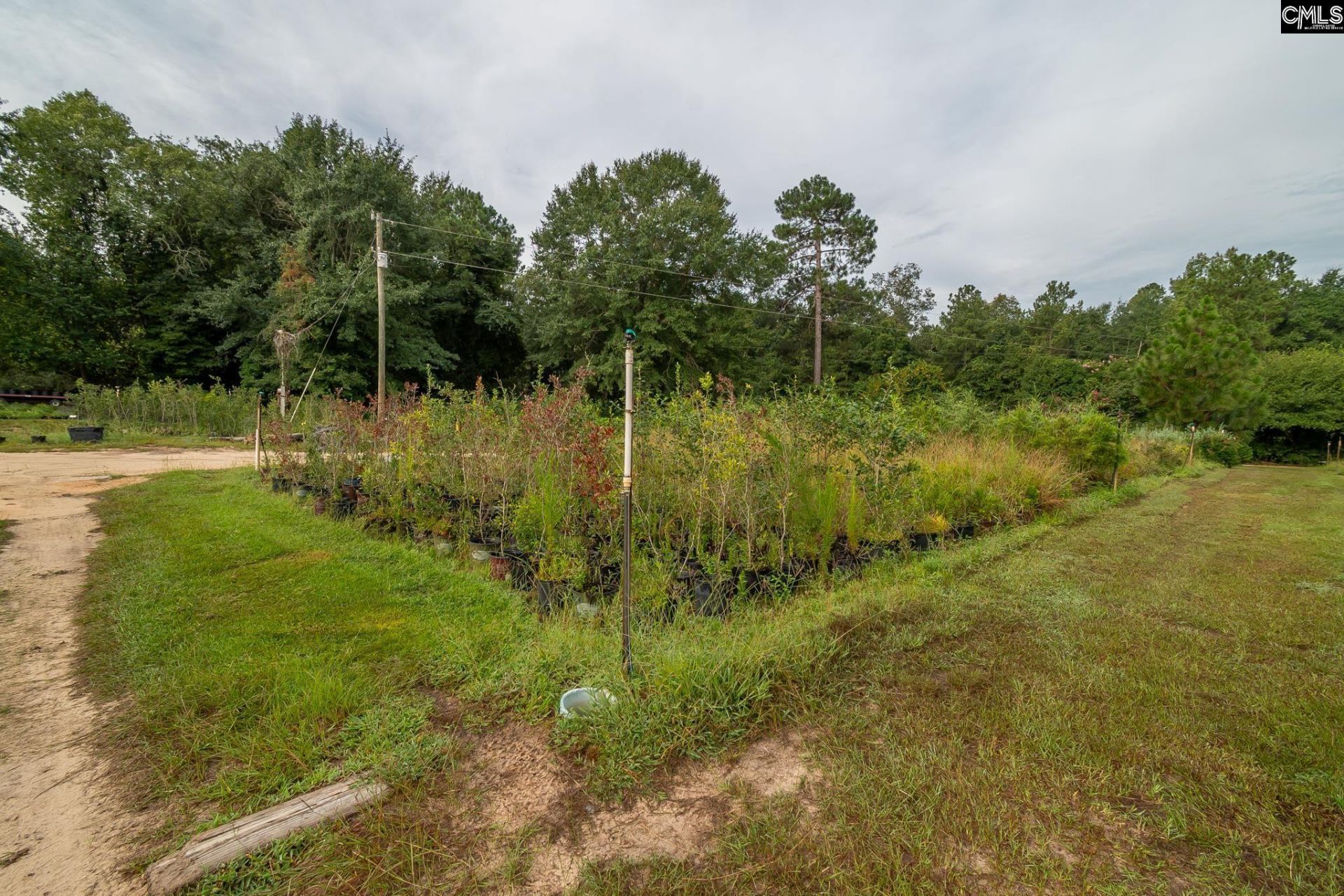 4594 Timrod Road  Photo 31